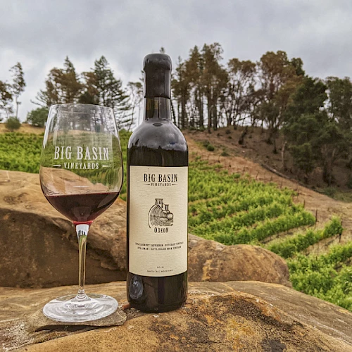 A bottle of wine and a filled wine glass labeled "Big Basin Vineyards" on a rock, with a vineyard and trees in the background under a cloudy sky.